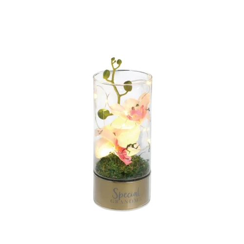 Peaches & Cream Tube Orchid Flowers & LED Light